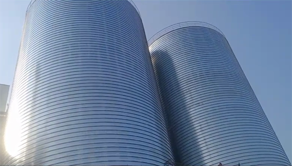 惠民2座混凝土高架卷板仓